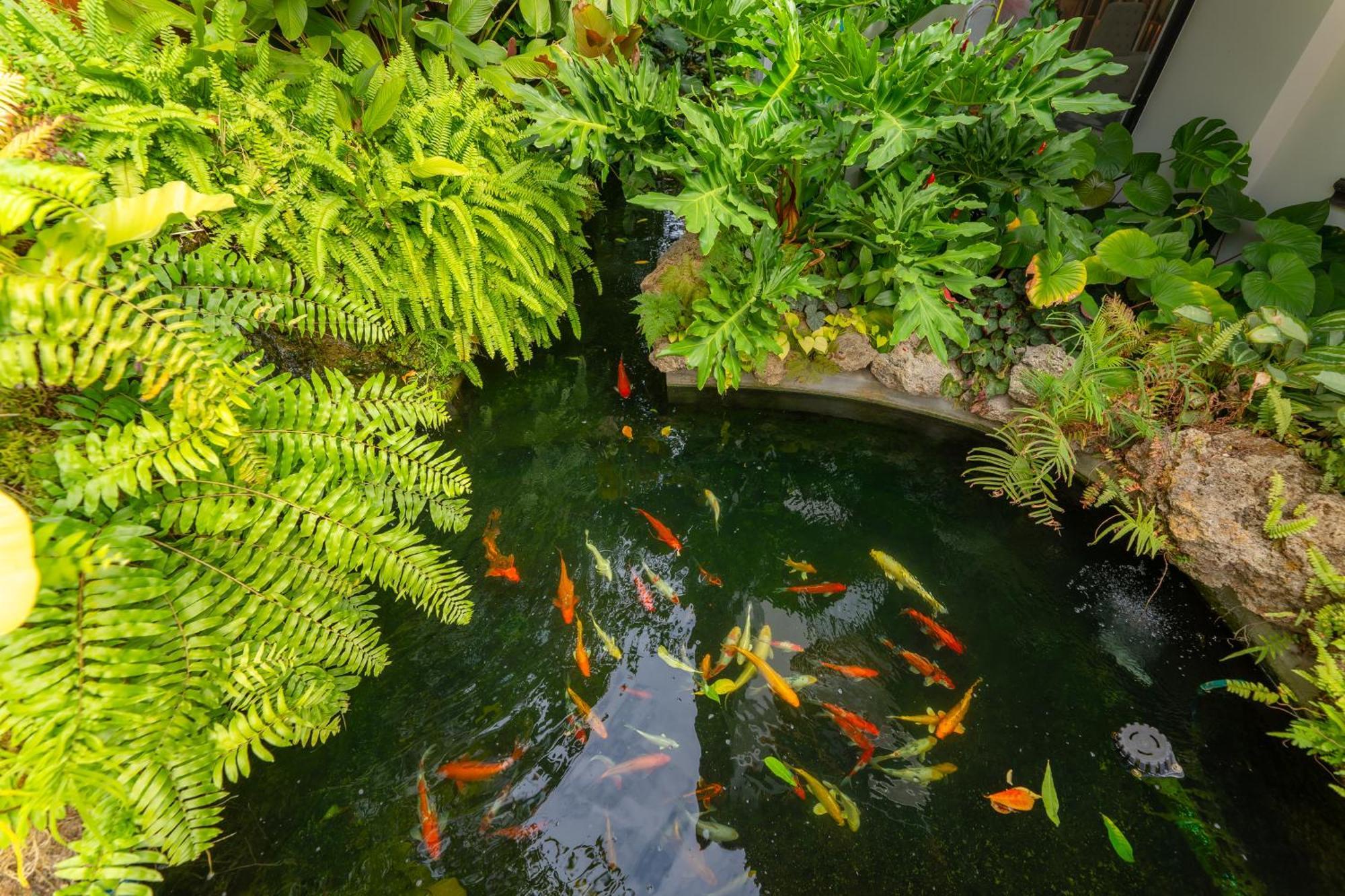 Verbena Chiangmai — Photos 3